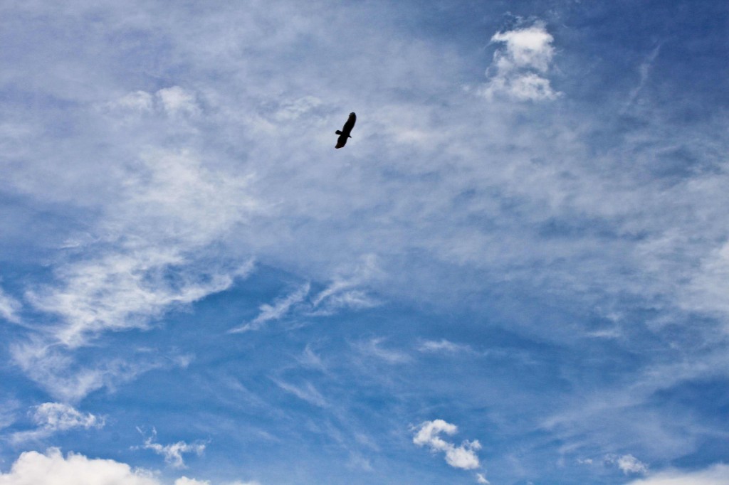 Latin America Travel Photography by Jamie Killen: El Cañon de Chicamocha, Colombia