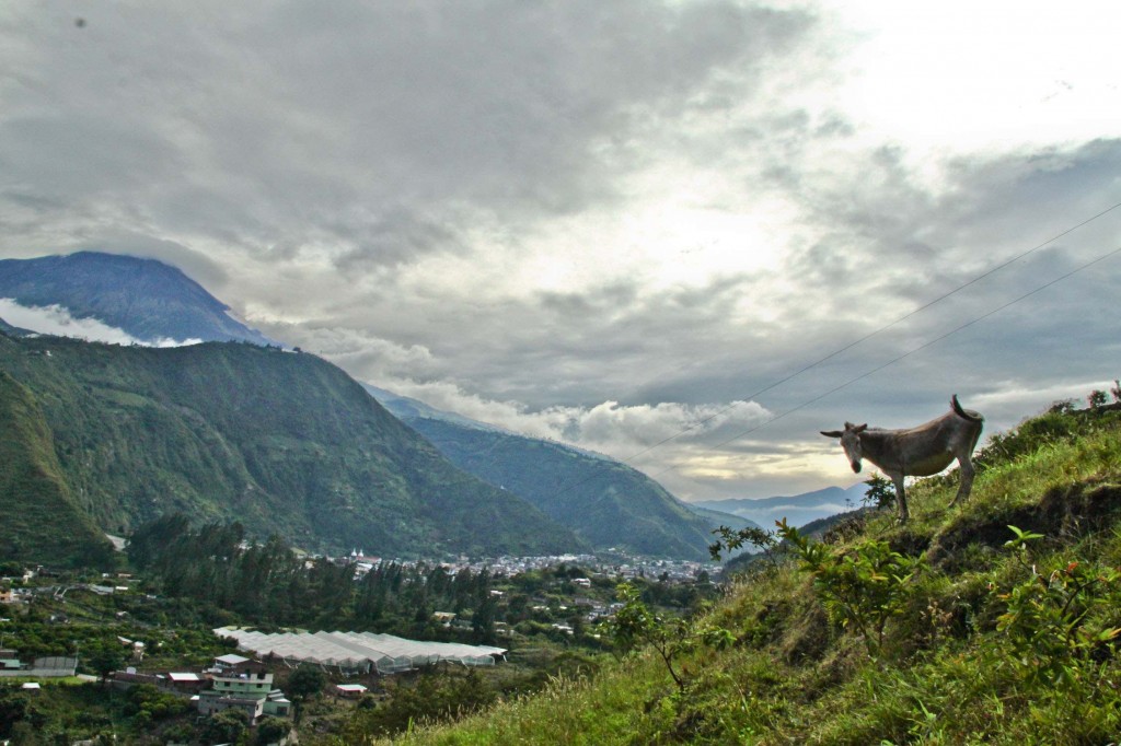 Latin America Travel Photography by Jamie Killen: Build Your Dream Ecuador Travel Journal Spanish