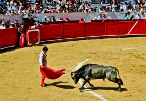 Latin America Travel Photography by Jamie Killen: Quito, Ecuador